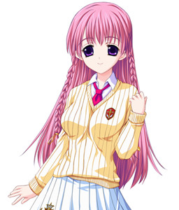 Midia Reno